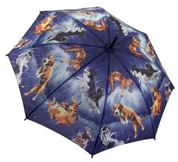 Raining Cats & Dogs Folding Umbrella (gift boxed)